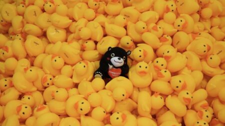 雙鴨親親後元宵在大港橋孵出1.5萬隻小小鴨　「港快跑鴨！」摸彩活動帶旺青創店家