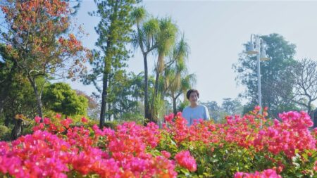 2024彰化春節：花在彰化、月影燈季　體驗百寶風光