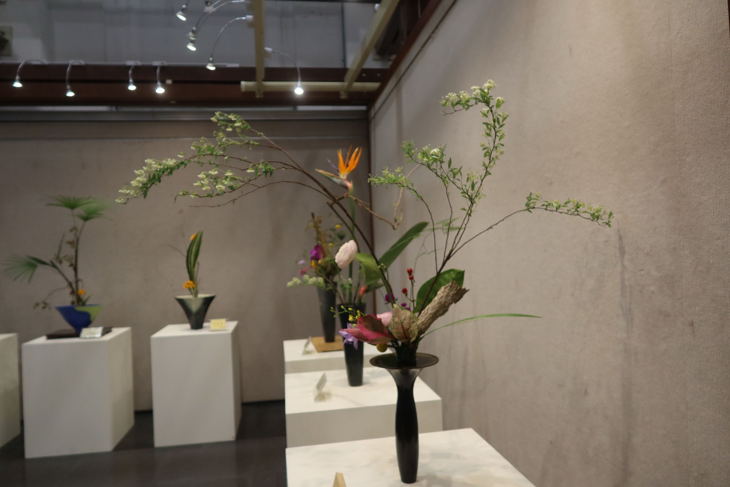 ▲彰化市公所邀請池坊華道台中支部在彰化藝術館舉辦「春華和韻-生命與美」花展，將為觀賞者帶來一場非凡的視覺與心靈的豐盛饗宴。（記者張溎壕攝）