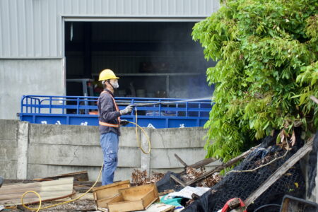 開出第一槍！福興鄉展開防治荔枝椿象大作戰