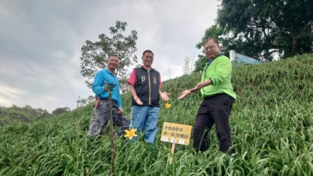 大驚喜！花壇虎山巖金針花首次姐妹花盛開