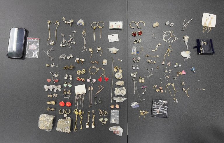 民宅遭竊損失75萬 南警逮獲犯嫌追回黃金項鍊、首飾 民宅遭竊損失75萬 南警逮獲犯嫌追回黃金項鍊、首飾