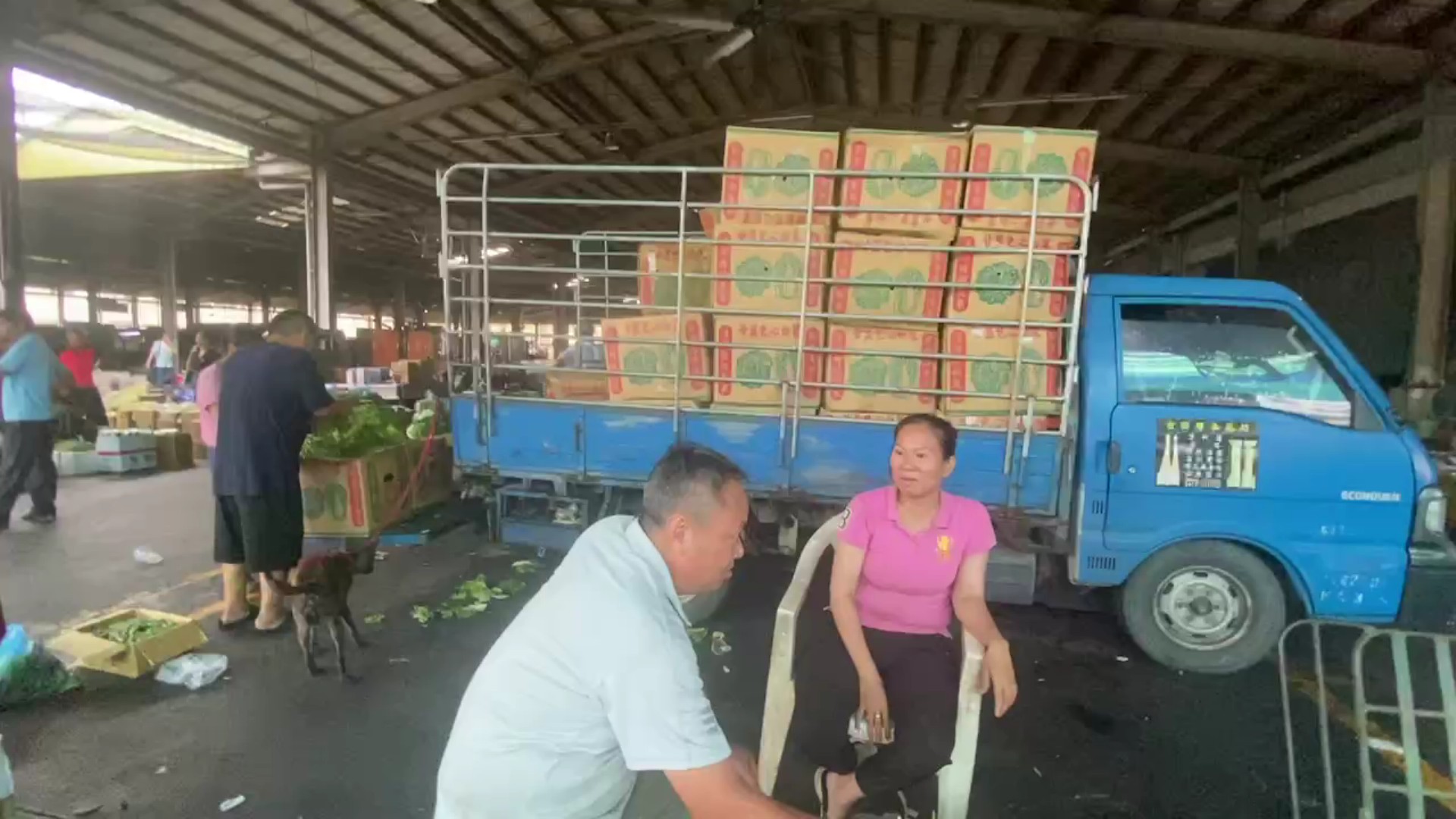 ▲凱米颱風來襲，對中南部的蔬菜產地造成了重大影響，產地蔬菜的均價在短短幾天內上漲了約三成。（記者張溎壕攝）