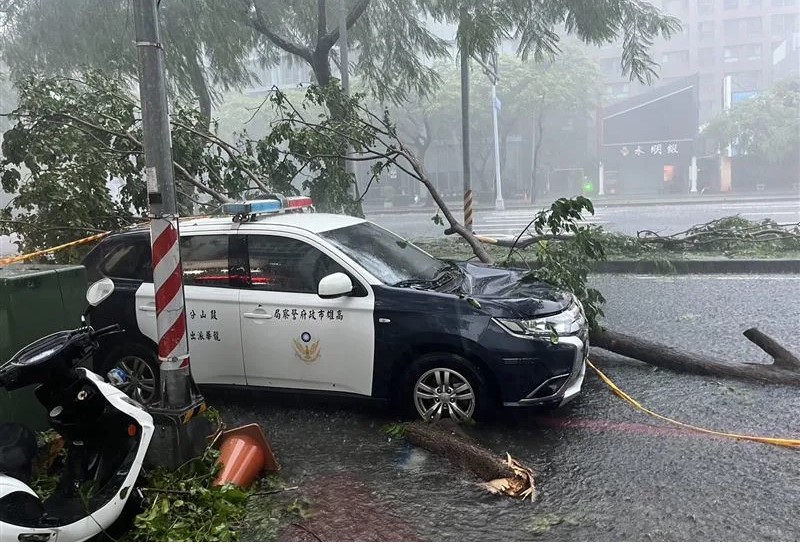 ▲ 高雄市龍華派出所的警車也被路樹砸壞 （圖：民眾提供）