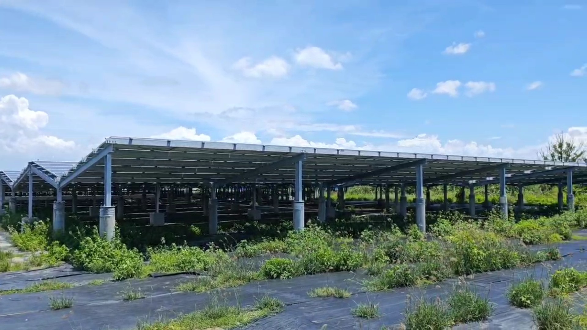 ▲竹塘鄉利用公墓遷葬整地計畫發展太陽能光電保。（記者張溎壕攝）