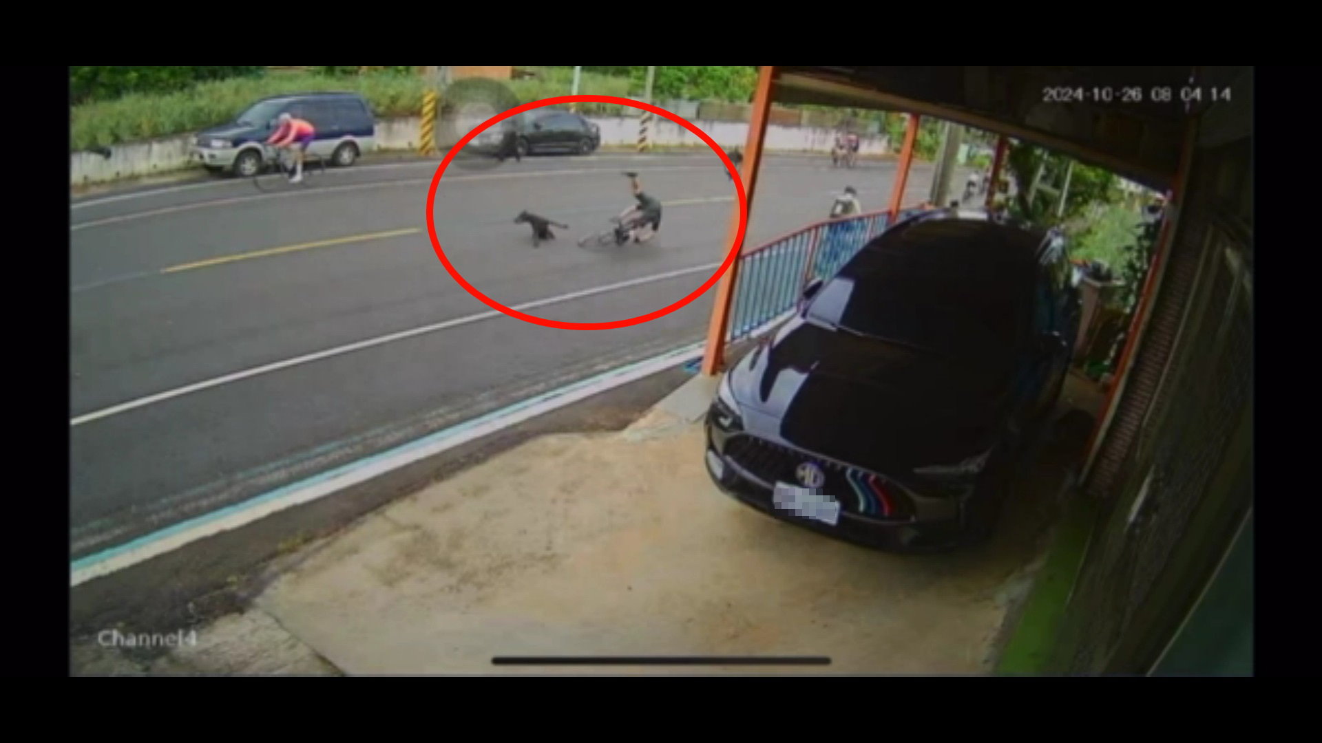 ▲芬園鄉139線大彰路發生流浪犬衝撞單車車禍事故，單車騎士連人帶車摔倒，自行車車架斷裂3截，流浪犬逃脫。（民眾提供）