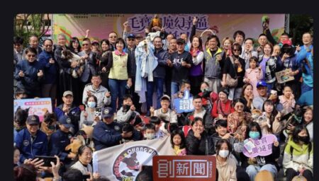 新北市2024毛寶貝魔幻幸福耶誕趴，新北推飼養寵物數位卡優惠多