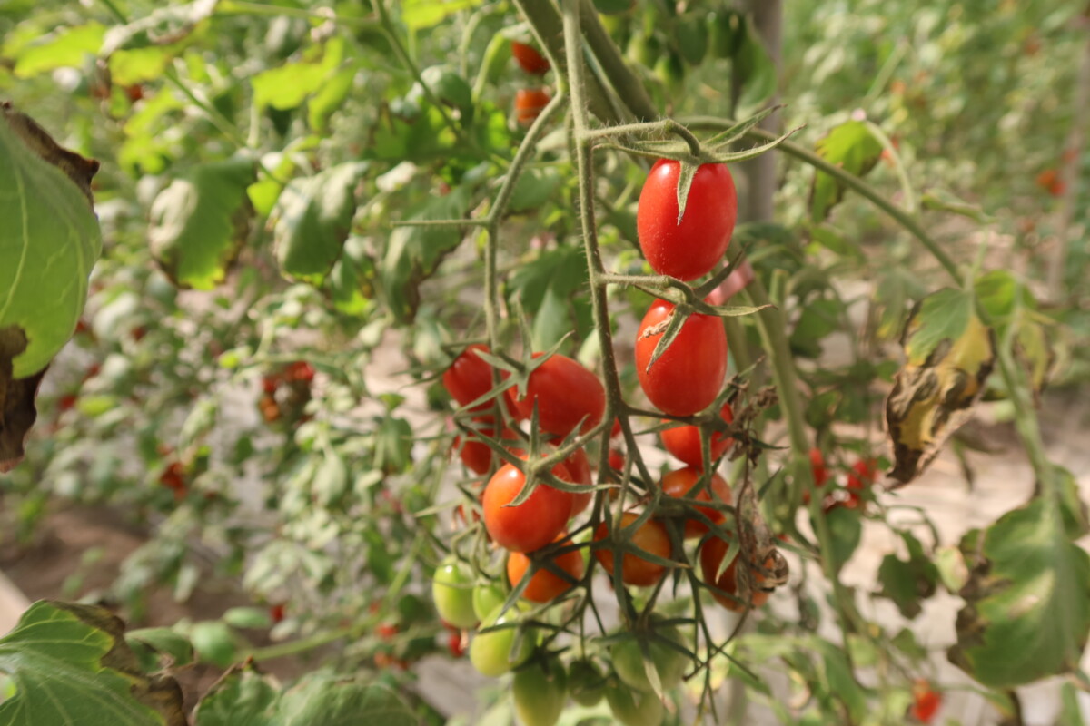 430806197f83e8a709db16bc8851d27c