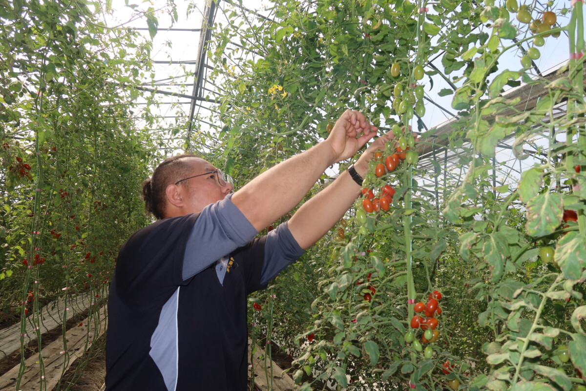 431b85f557c7828e3bf9b4ee9e9ab10a