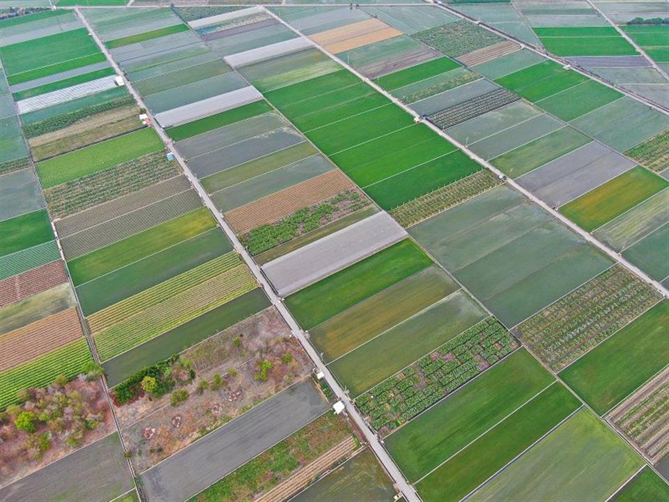 0d46a8a7886c8347a9c3e637b78cd533