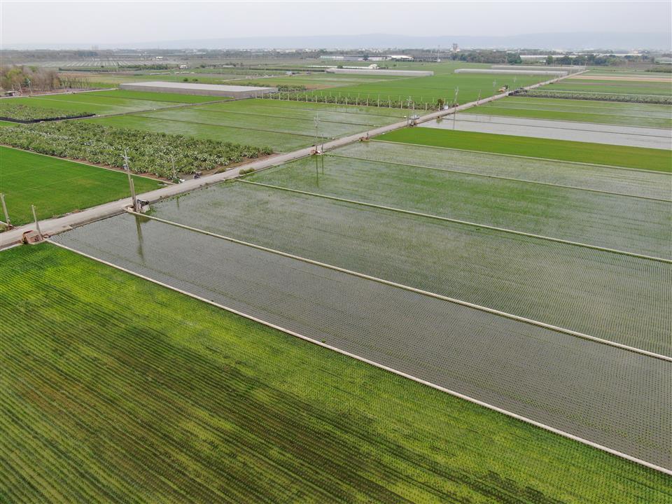 1317ff6f8fd1ecc983a85b99a33ccc2d