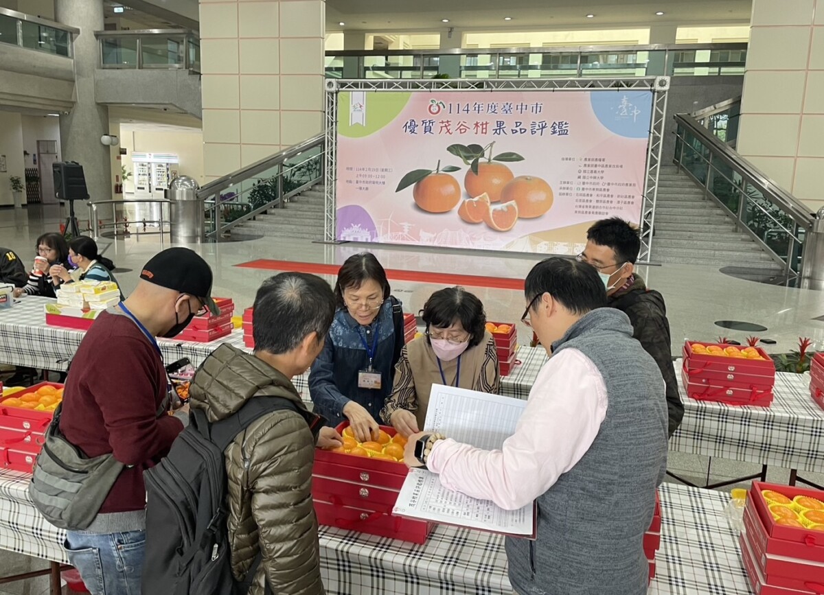 ▲茂谷柑果品評鑑,評審品評果品。(圖/記者顏淑娟翻攝)