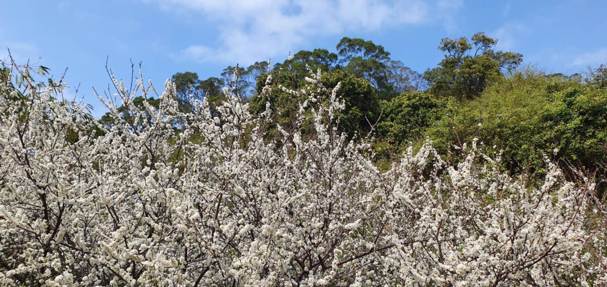 4bacc51af8934359376e4cfbdda9caad