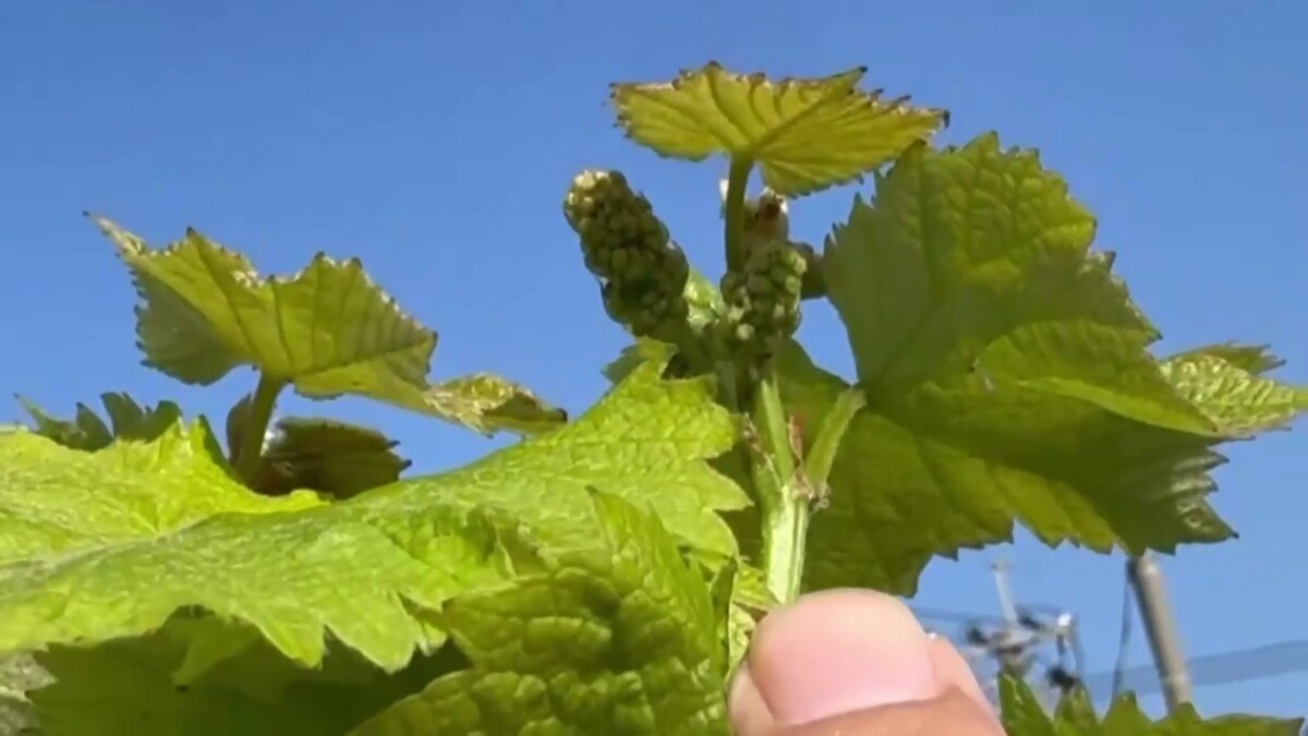 6c5c0797287e725d4bd79c38a8415c8d