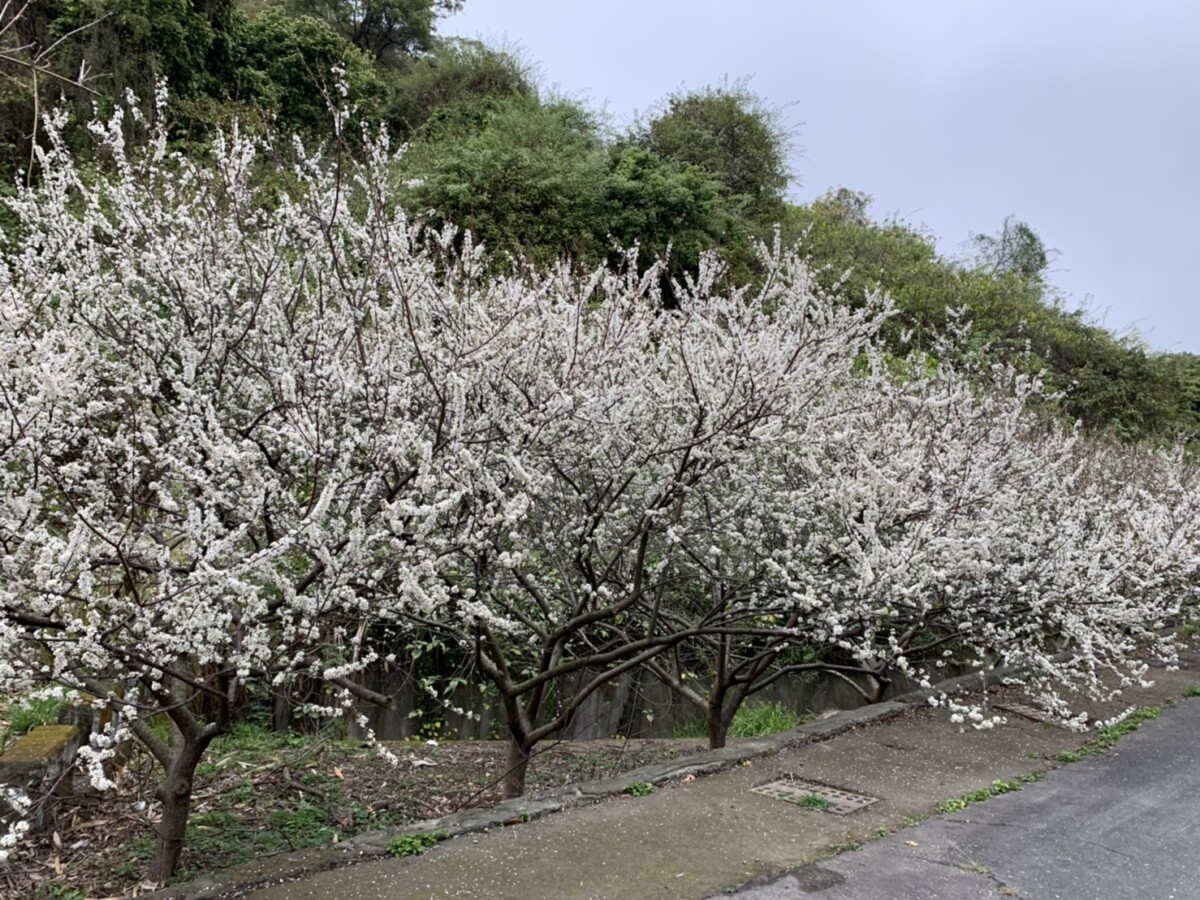 7dd6e03acb6f8022585f3510d093ee21