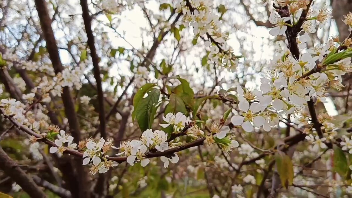 856e42ac59ac7b56f5fcda04be2f818c