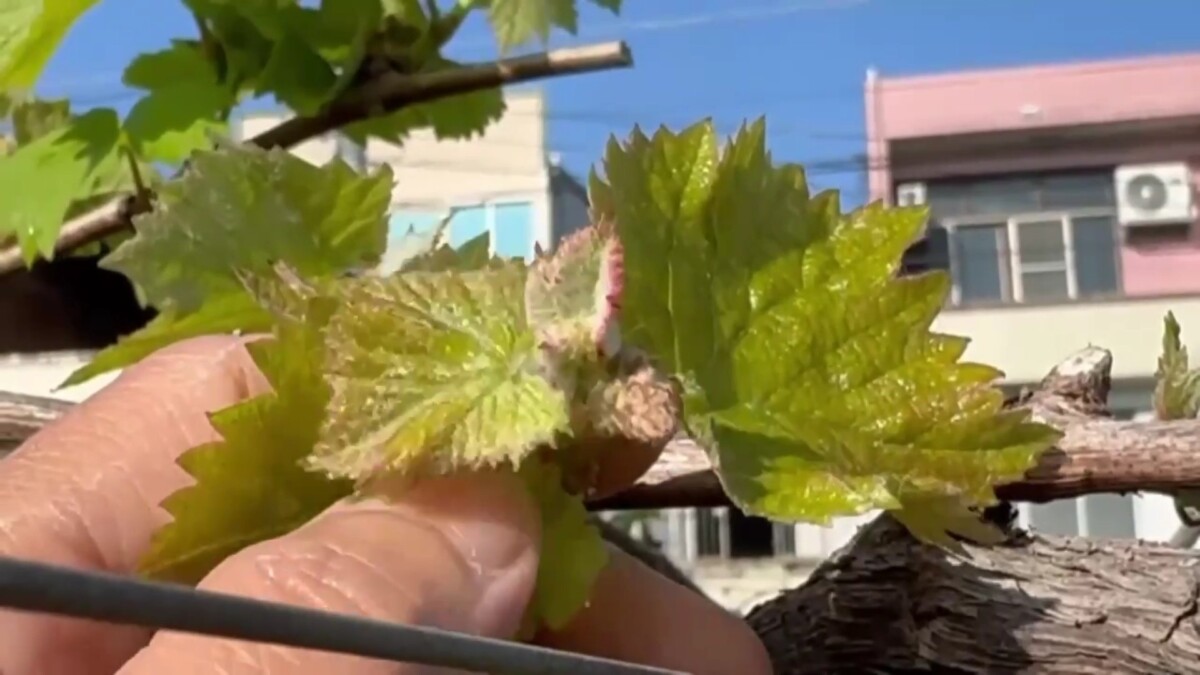 861fb7cf59243b968cd2f9c0af86d17d