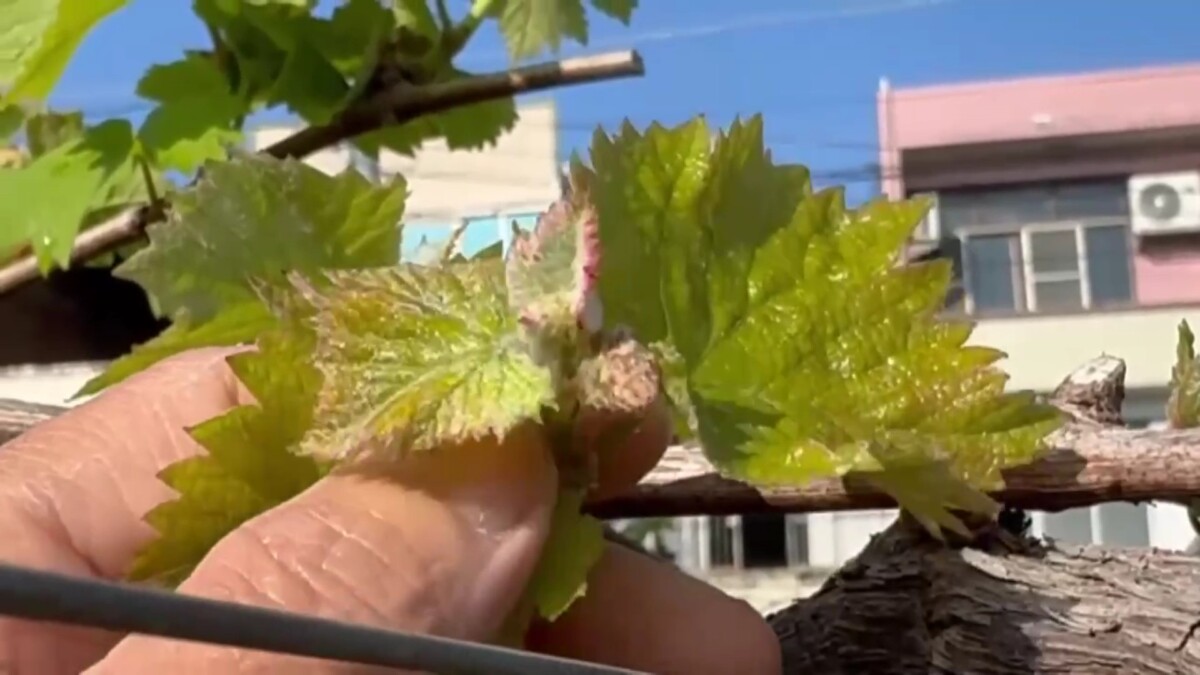 96293f65b9ca81f13c6c06ede501b536