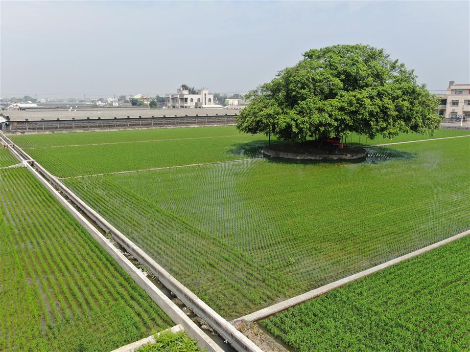 B1a94959829d9df82d273326b69edd83