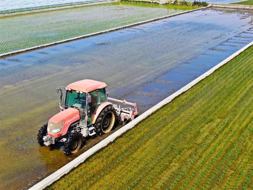 F08300310795c8d08620cf9a5b5473d6