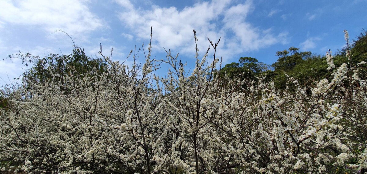 F2fd200b36e31b695f7cd6942065e55b