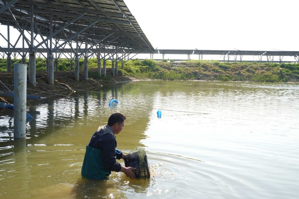 台泥綠能撤對養殖戶求償並進場養殖　冀望能源轉型共生共榮
