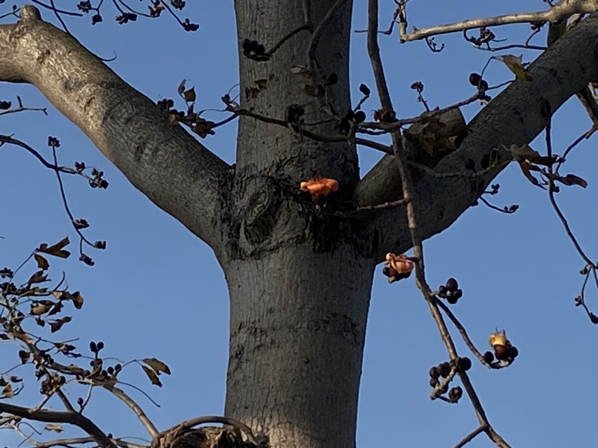 3e40af22423eb2f94a445b76c23936a8