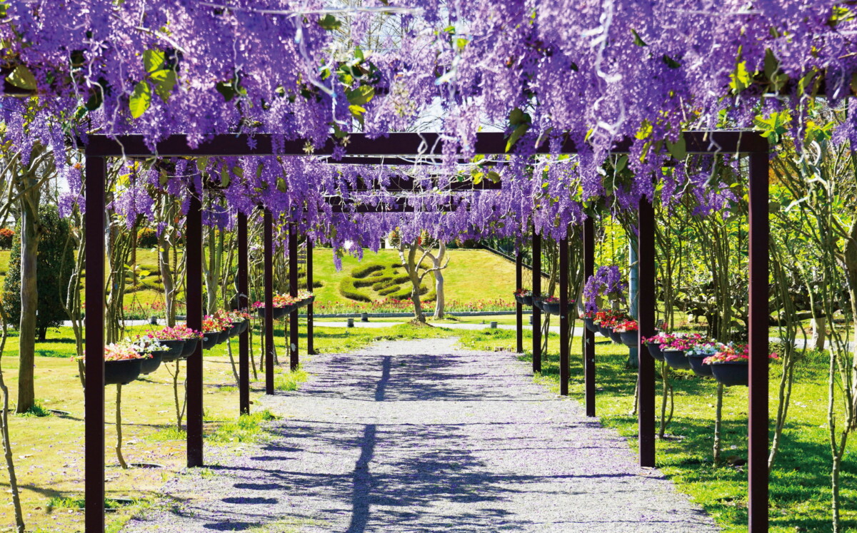 77c52d2630319096b724b33b32c380bb