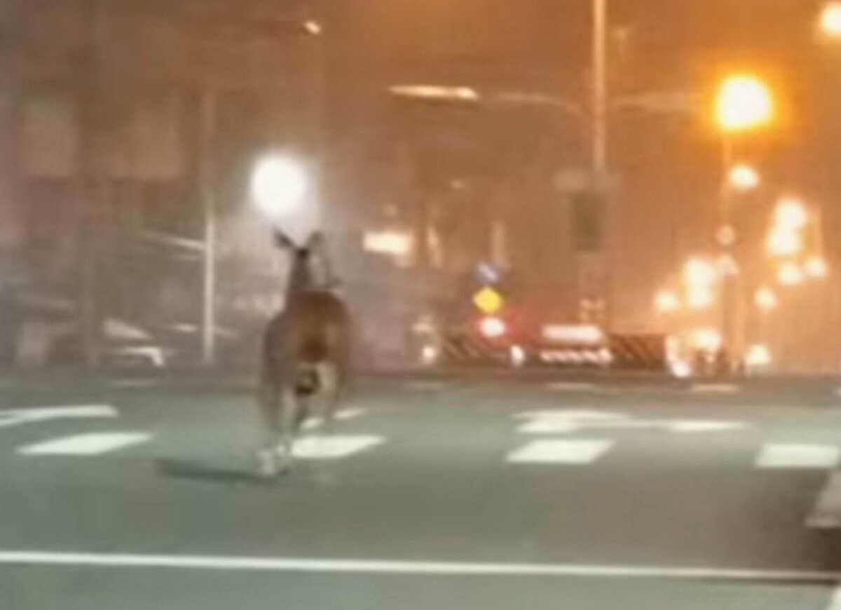 89071aefd7c8b309cb6c1d6e053a3b08