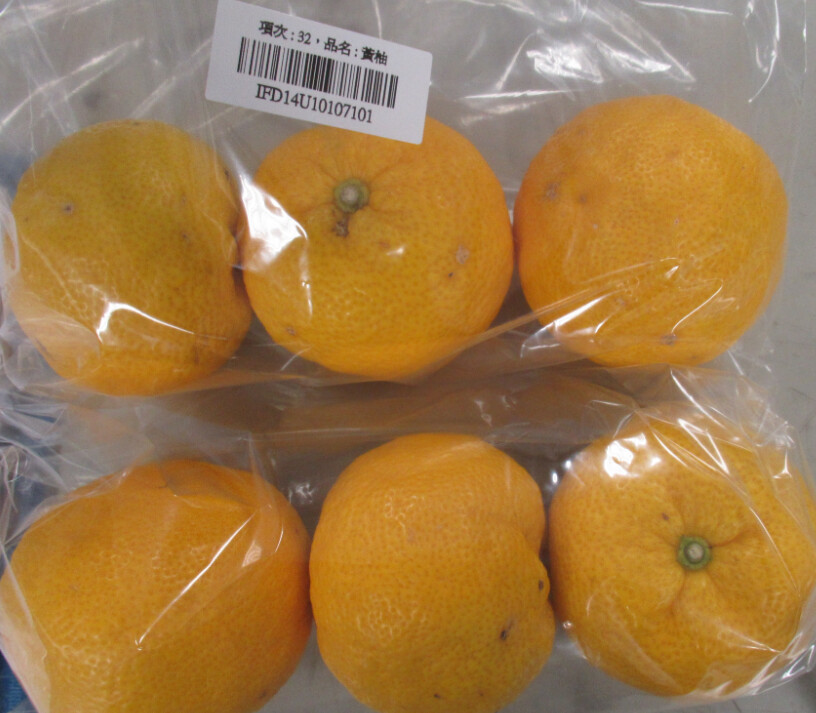 初魚餐飲集團從日本進口黃柚檢出兩種農藥超標。(圖/翻攝食藥署官網)