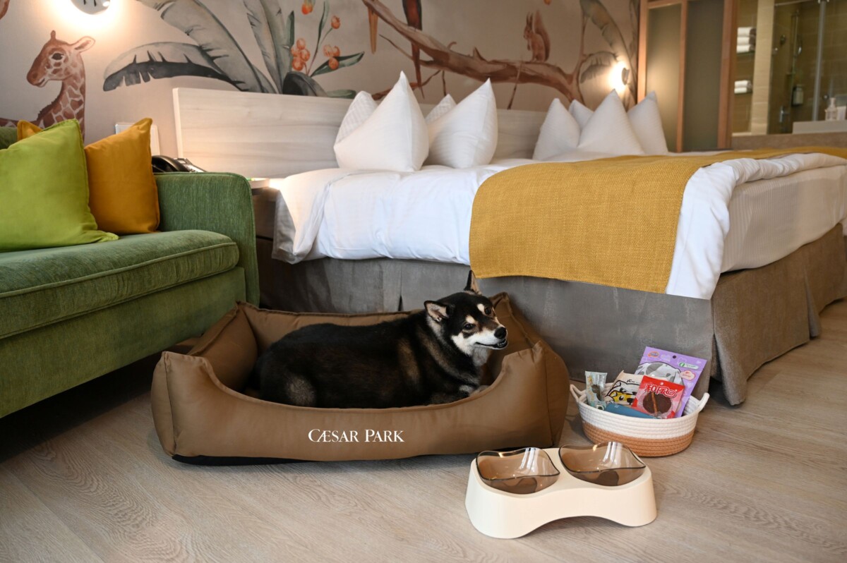 寵物友善住房專案,房內除提供天然無毒的透氣寵物床組,更貼心備妥多尿布墊、拾便袋、寵物濕紙巾、水碗與迎賓點心等備品,讓毛孩享受賓至如歸的度假體驗,飼主也能安心出遊。