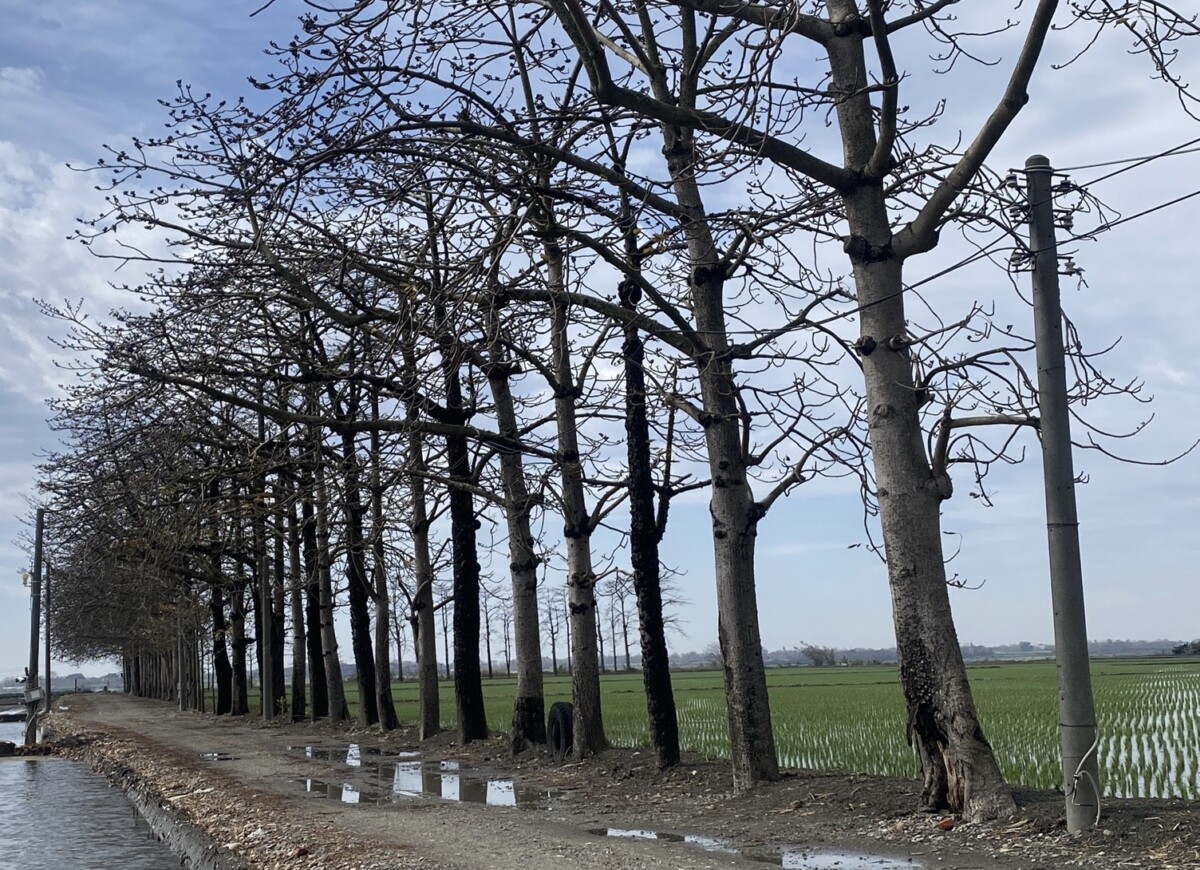 B104dbf235abac9c4a0d05b873ef7ecb