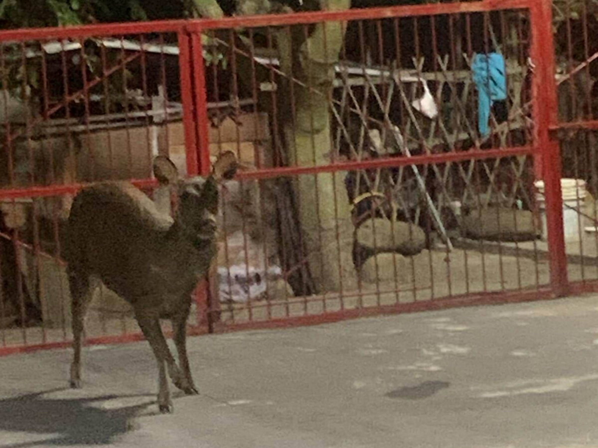 Cf522e5f98f614660ca77b7addd4178d