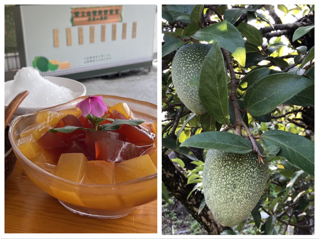 ▲桃源區復興漢愛玉故事館,近年積極發展的愛玉主題遊程。(記者/朱星明翻攝)