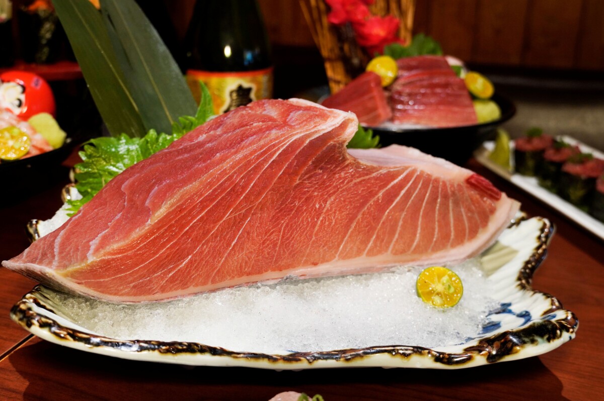 稀珍的黑鮪魚中腹每日限量供應