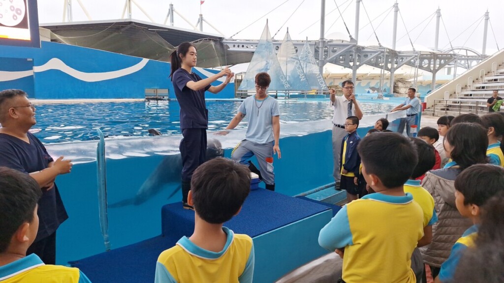 從動物表演到教育轉型　遠雄海洋公園用行動守護海洋