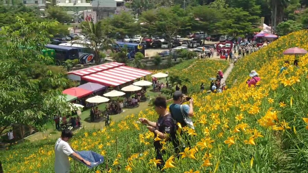 E74913217ba37a1748a7d259fb766a97