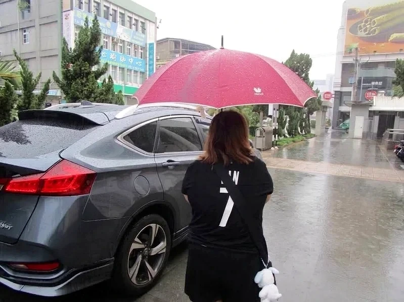 欠39萬農地遭查封！雲林女拿愛車換解封　1個月賣地清償