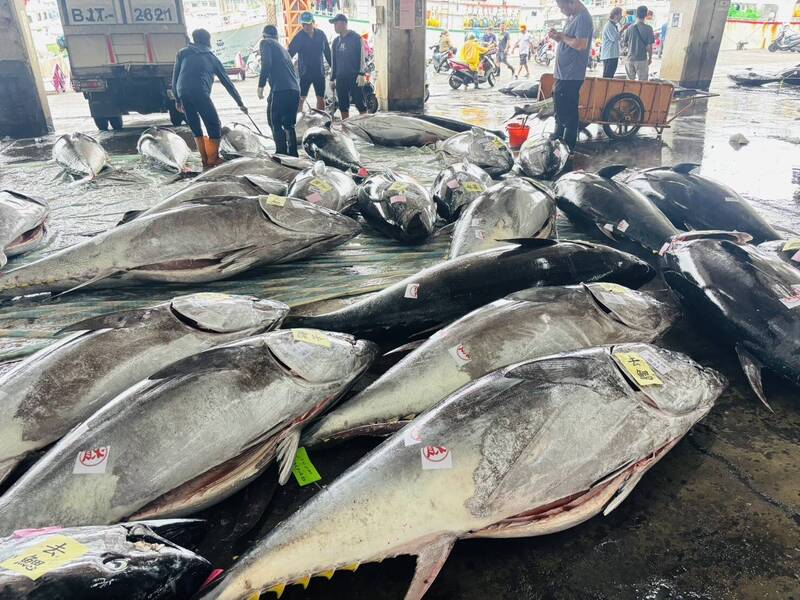 300元黑鮪魚鬆涉賄選！高雄里長候選人交保2樁腳遭聲押