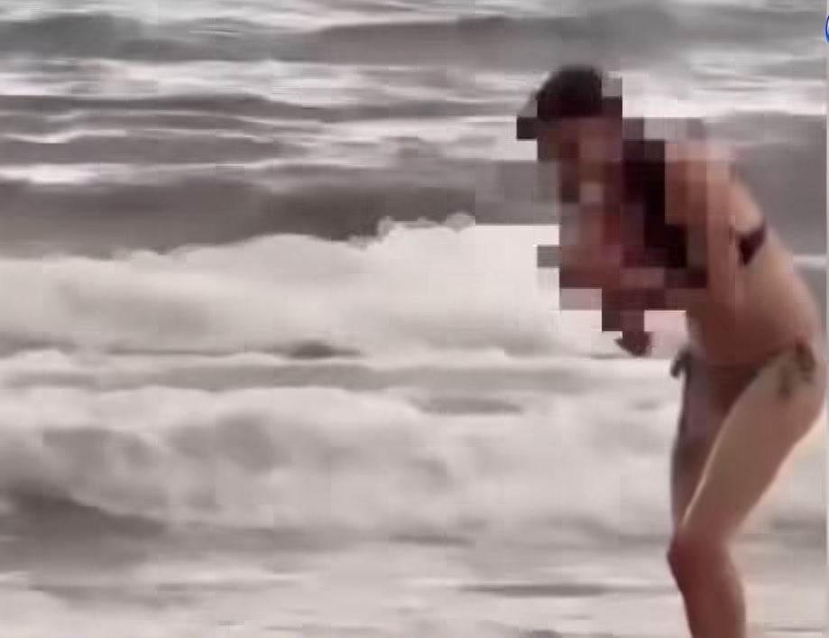 「不要摸」還是伸手了！德國女小琉球摸海龜恐挨罰