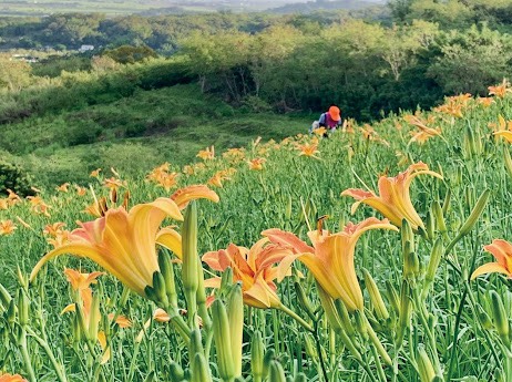 補助能讓旅客出發　花蓮要讓人多住一晚、還想再來