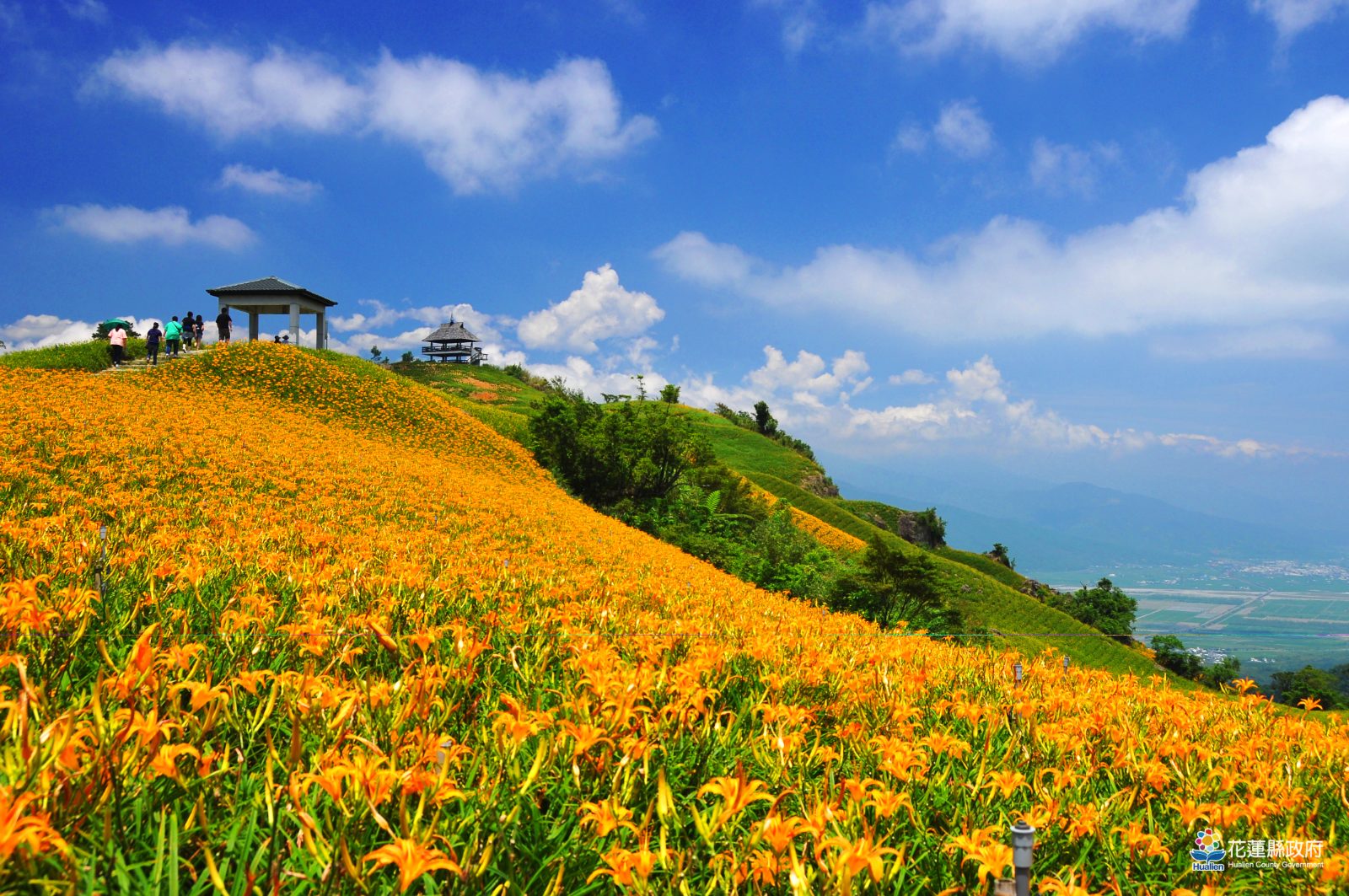 花蓮中秋不只追花聽歌　更要讓旅人願意多留一晚