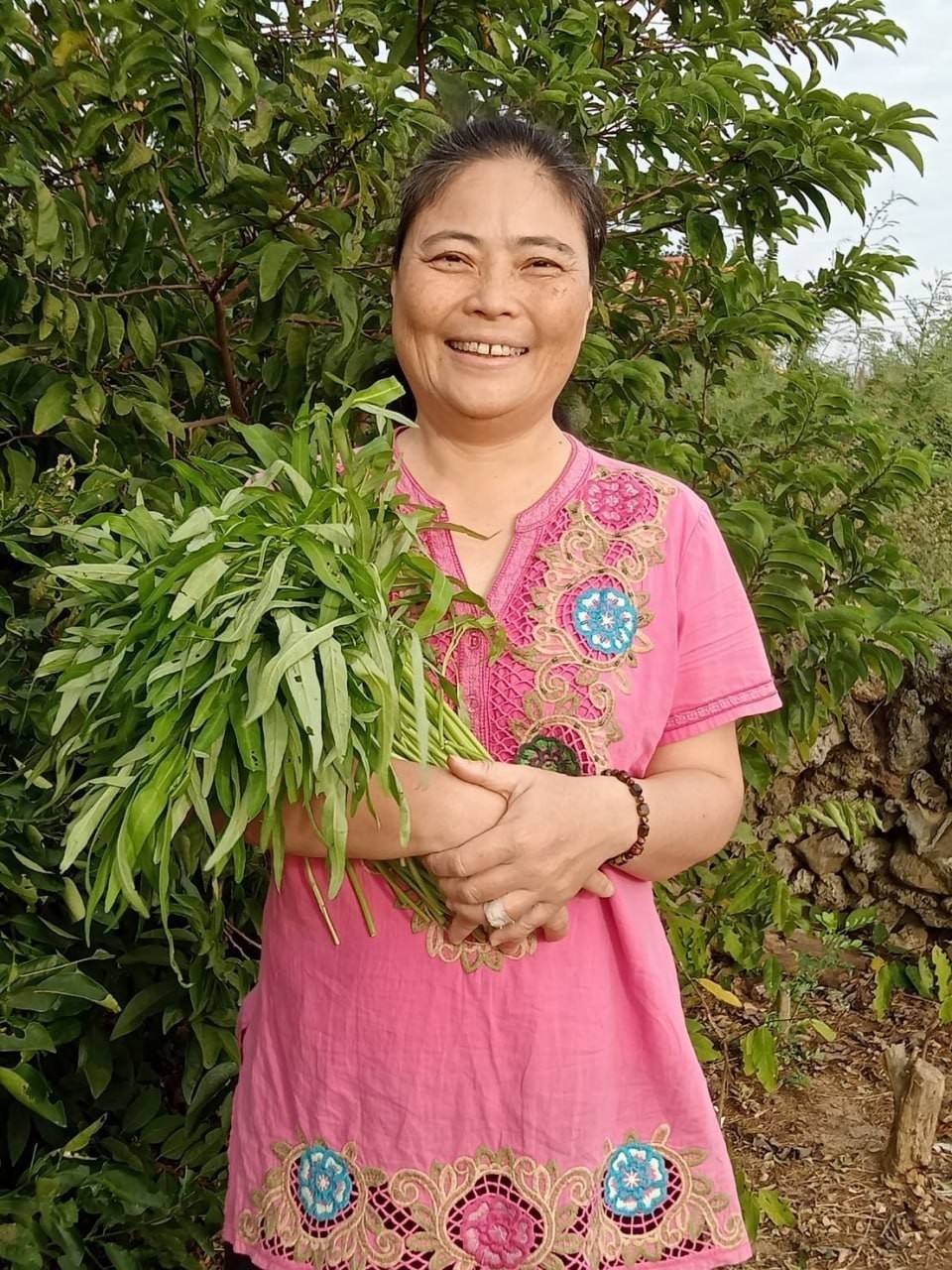 海風裡守著一片田：望安農婦的茹素心願，與一個家的重量