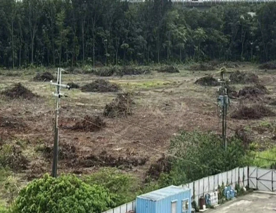 仁武台糖地狂砍樹變光禿！距住宅區僅百米驚見申請土資場引恐慌　