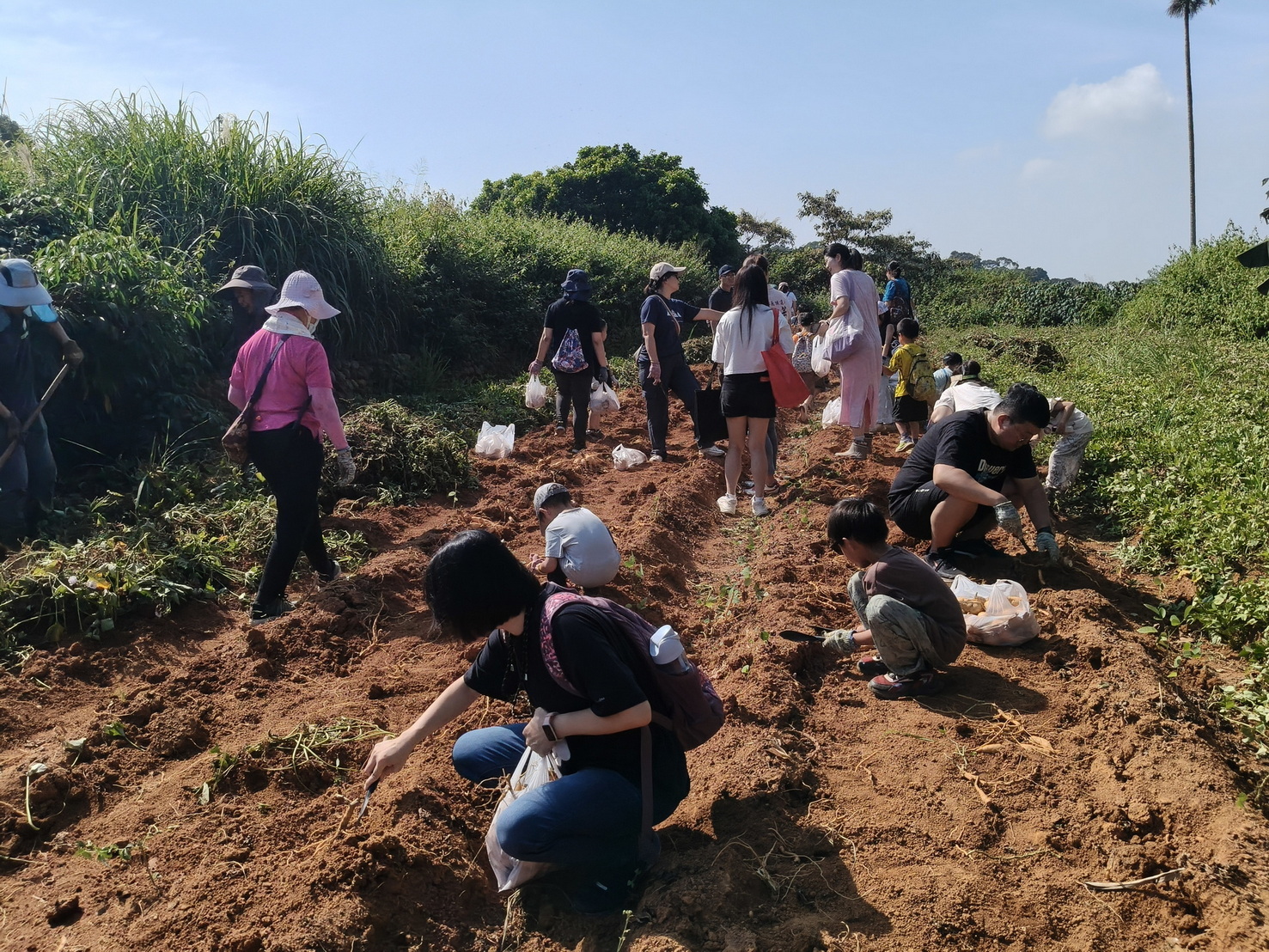 從產地到餐桌　文德國小親子食農教育玩出土地情