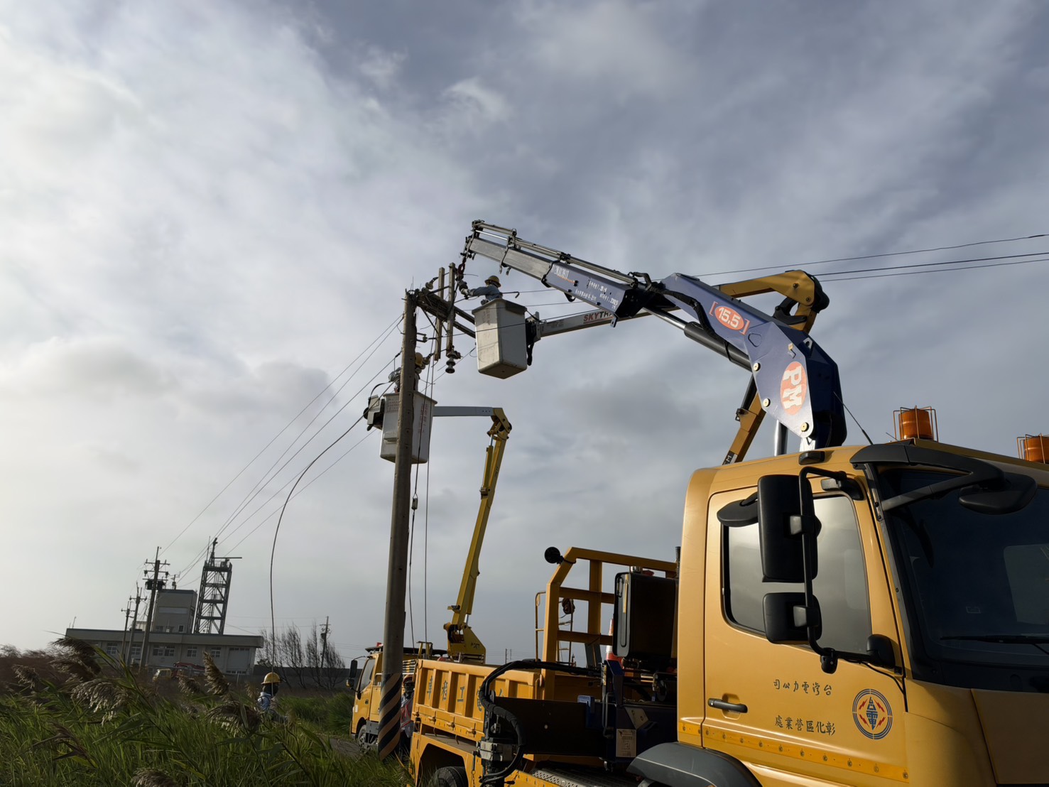 薔琵颱風帶來強風　彰化多處路樹倒塌、電線掉落