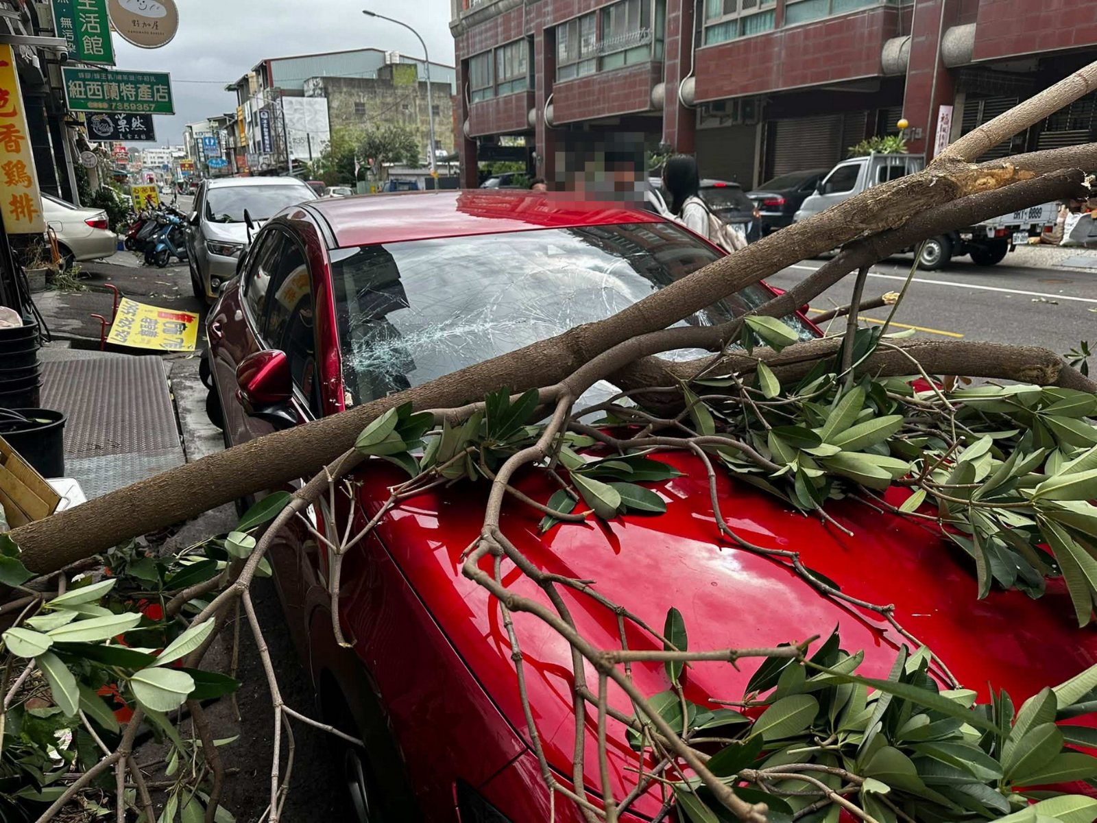 太驚險！彰化男尿急離車　5秒後大樹倒下車慘了
