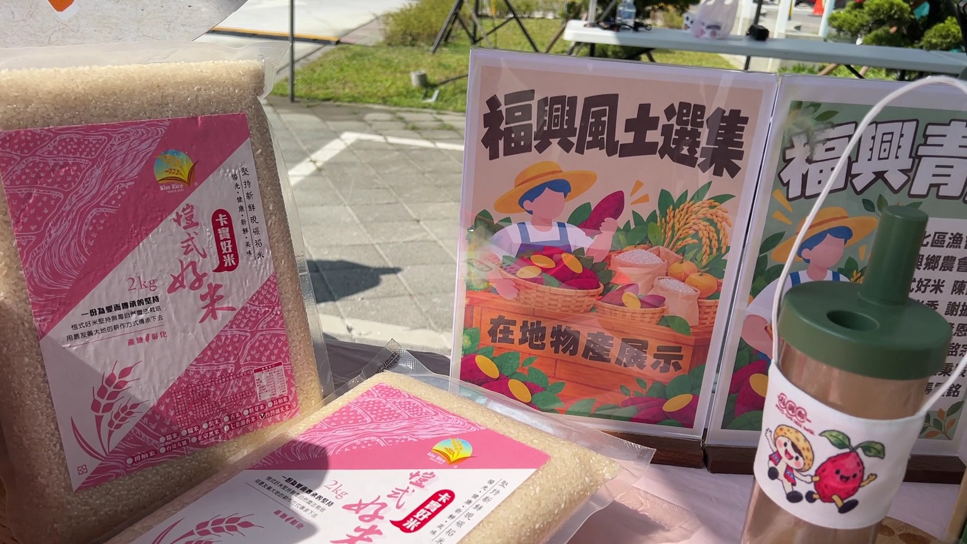 從土地到餐桌　福興黃金地瓜嘉年華玩出農村新魅力