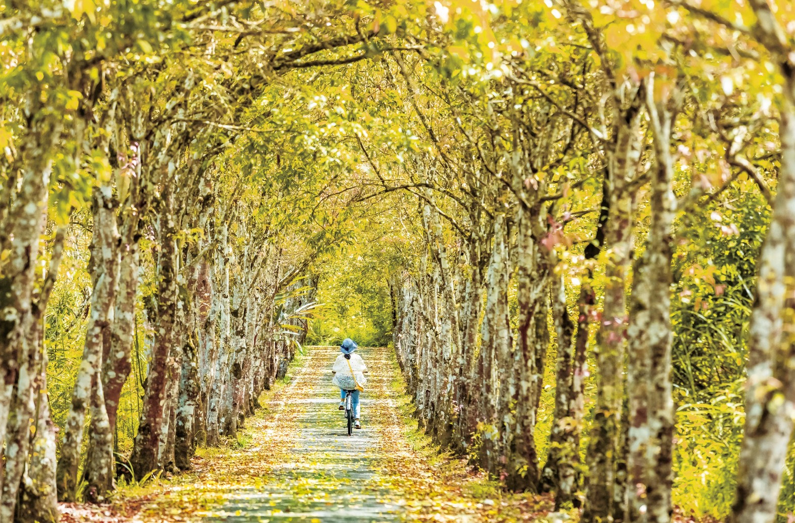 十萬旅人住進花蓮　讓觀光暖流走入地方日常