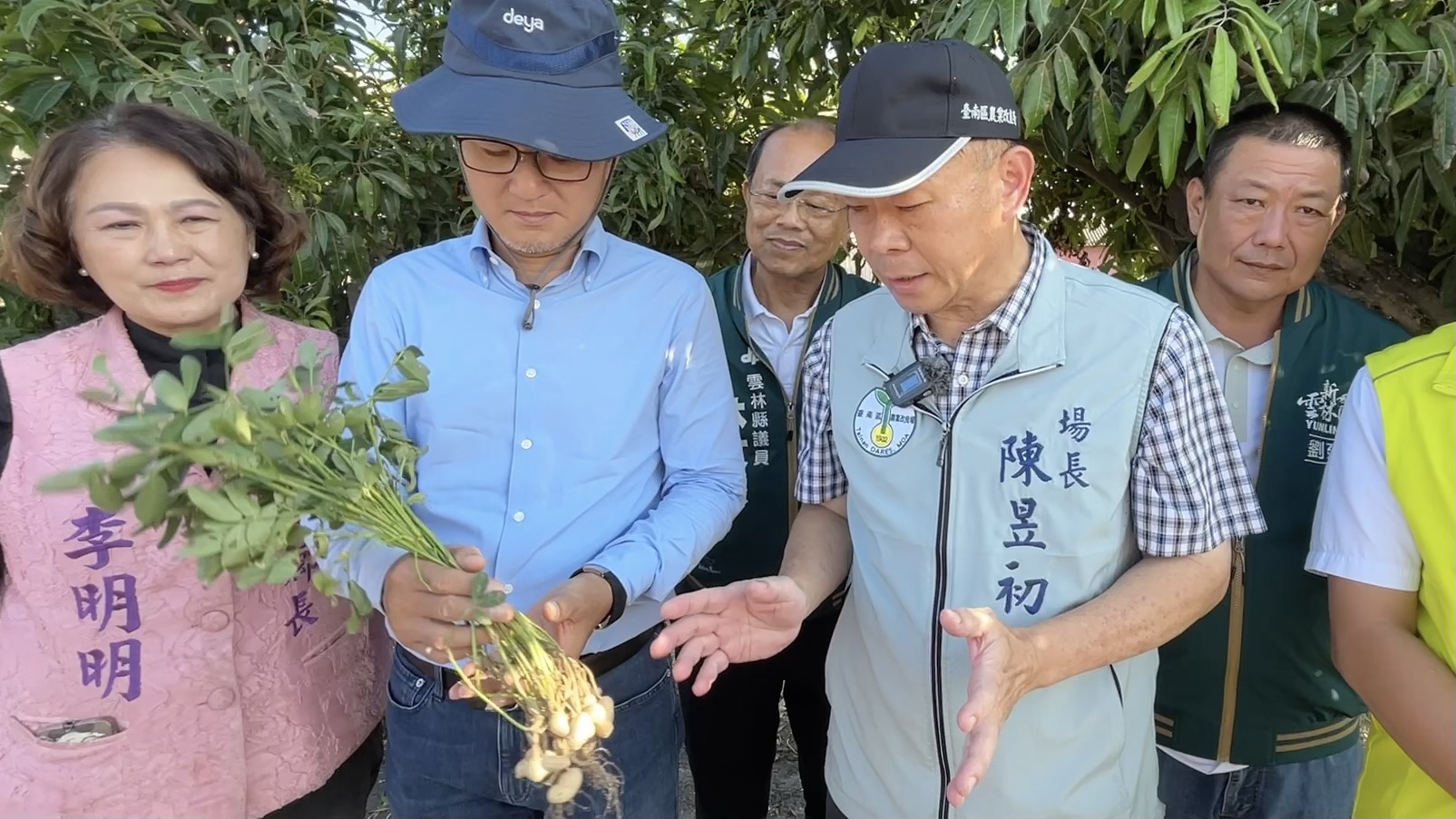 元長花生空莢、結莢不良！豪雨延遲災損逾兩成　劉建國促農糧署速辦救助